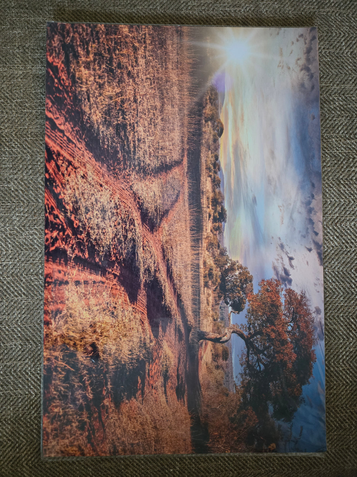 Beautiful Day Photo Print